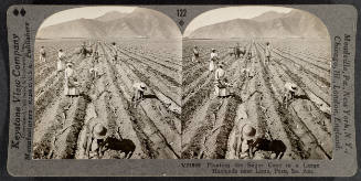 122 - Planting the Sugar Cane in a Large Hacienda near Lima, Peru, So. Am.