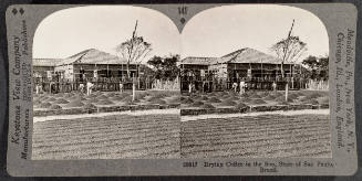 141 - Drying Coffee in the Sun, State of Sao Paulo, Brazil