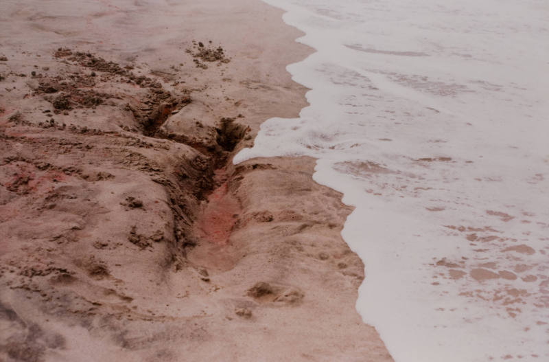 Ana Mendieta