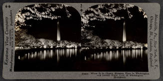 2 - When It Is Cherry Blossom Time in Washington - A Lovely Night View of Washington Monument