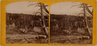 Snow and Timber Line, Laramie Mountains