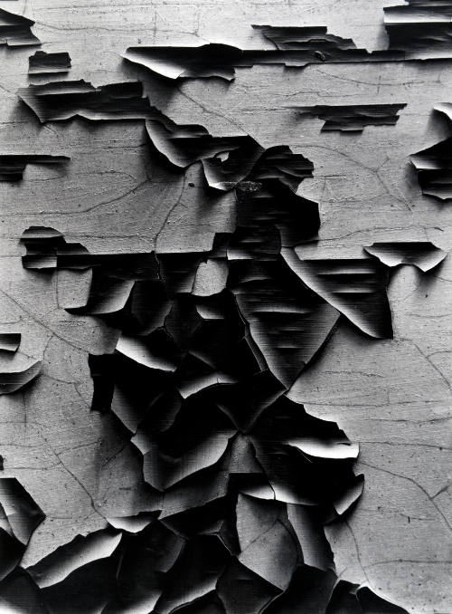 Aaron Siskind