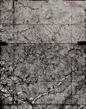 Imperial Japanese Survey Map